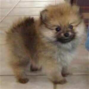 Meet your Posher, Marissa